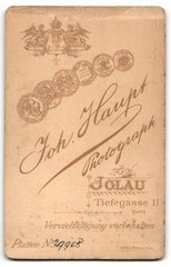 Photograph Joh. Haupt, Iglau, Tiefgasse 11, portrait of an elegant lady
