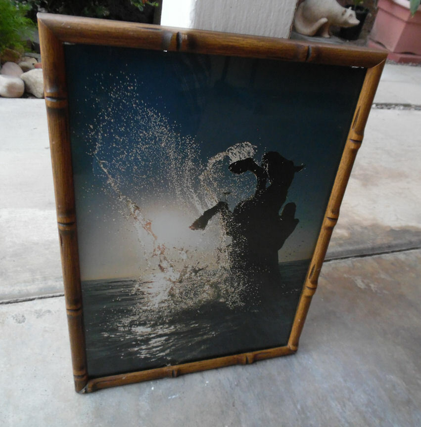 VINTAGE PHOTOGRAPH PRINT OF A HORSE REARING IN THE OCEAN SUNSET 1970’s