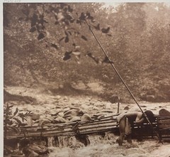 Original 1923 EDWARD CURTIS Hupa Trout Trap NATIVE AMERICAN FISHING Photogravure