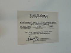 DAVID H GIBSON Photography Signed NOVEMBER MORNING CYPRESS CREEK + Message 1992