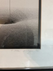 Allan I Teger Signed Framed Photograph Bodyscapes 3/250 1983 Surreal Art 20×16