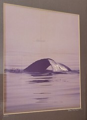 BOB TALBOT – Signed 1979 Original Whale Marine Photo 16×20 framed
