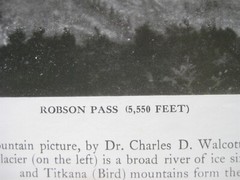 Original 1913 B&W Panorama Photo ROBSON PEAK Canadian Rockies Glaciers Berg Lake