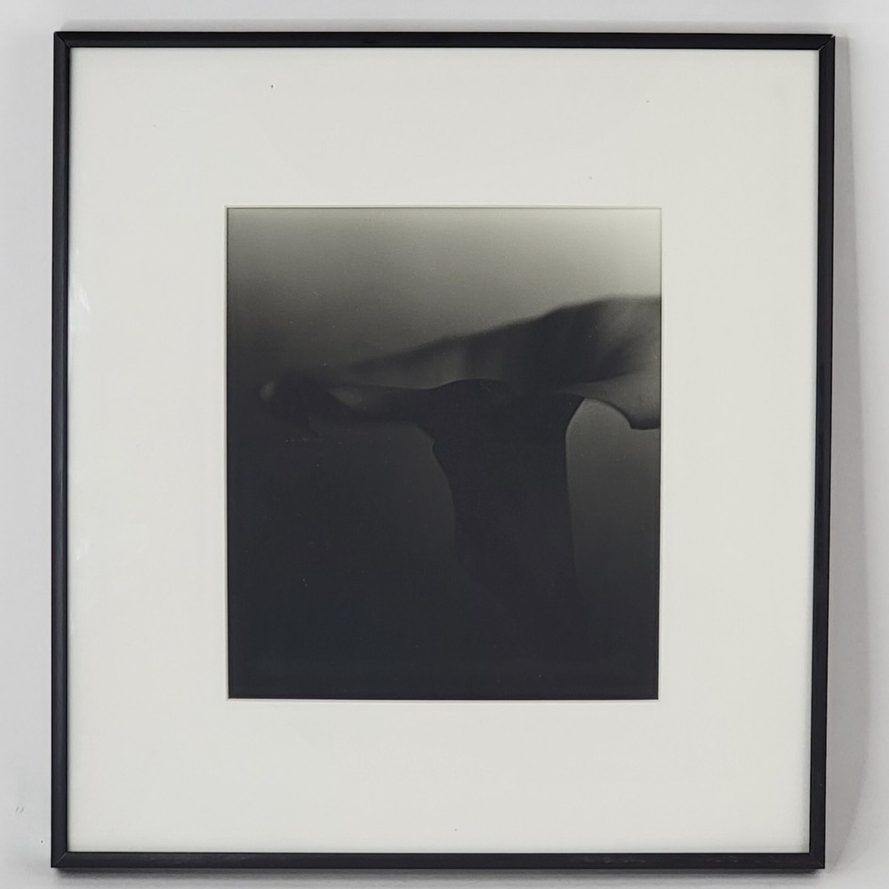 Steven Michael Bogdonas | Original Hand-Printed Photo of Flower, 13″ x 14″