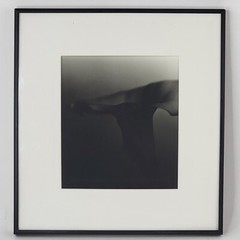 Steven Michael Bogdonas | Original Hand-Printed Photo of Flower, 13″ x 14″
