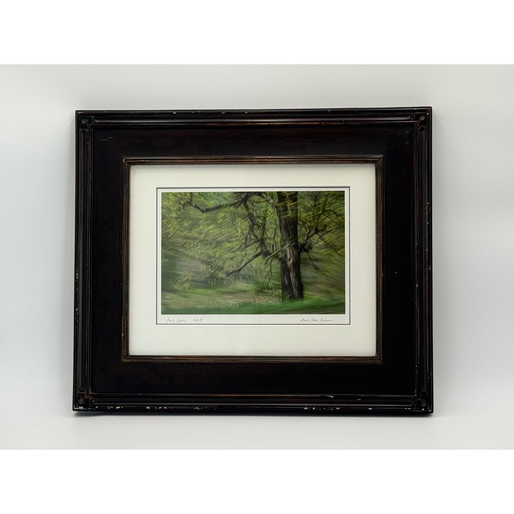 Sarah Hood Salomon Early Spring Framed Archival Photo Signed Numbered 3/25 Art