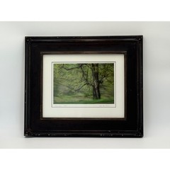 Sarah Hood Salomon Early Spring Framed Archival Photo Signed Numbered 3/25 Art