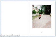 JOHN DIVOLA ‘7 Dogs’ SIGNED Photograph in Limited Edition ‘One Picture Book’ NEW
