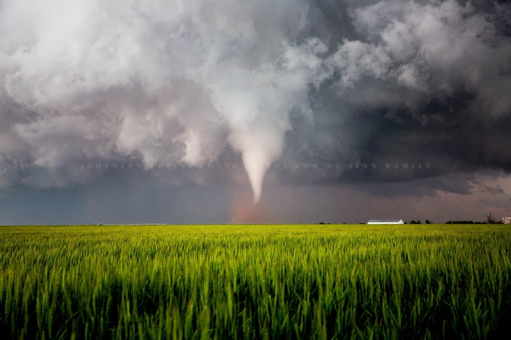 Storm Photography Print – Picture of Tornado Over Wheat Field in Texas