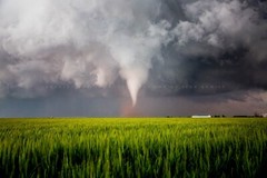 Storm Photography Print – Picture of Tornado Over Wheat Field in Texas