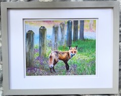 “Smart As A Fox,” Photograph, 12×15”