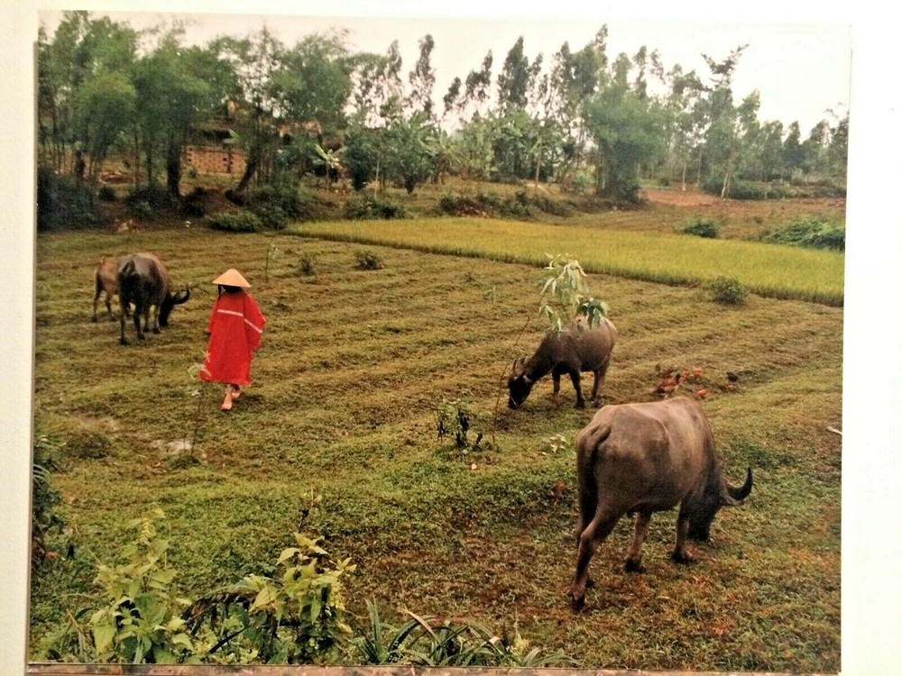 Vietnam California Artist Photgrapher «Don» Photo 16 X 20 1993 rare