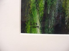 MATTED PHOTOGRAPHY Abstract Blurry Green Black Pixelated By Larry Santucci 16×20