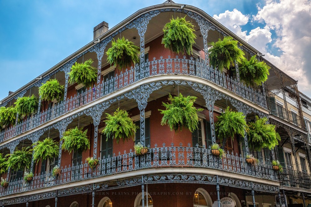 French Quarter Photography Print: Louisiana New Orleans Corner Building Photo