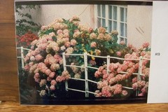 Photographic Images 14″ X 9½» full color Mediterranean art photographs» MF22-24