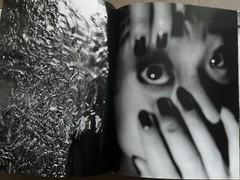 🎈SupRARE! Daido Moriyama – Fondation Cartier pour l’art contemporain 2003 Araki