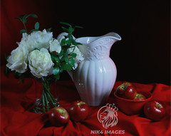 New «Apples On Red» 11″ x 14″ Framed Photo Art Living Room