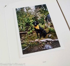 STEPHEN SHORE: Pet Pictures SIGNED Photo w/ Ltd Edition Book One Picture #73 NEW