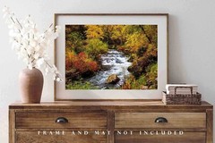 Spearfish Canyon South Dakota Creek Black Hills Landscape Photography Print