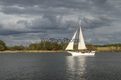 Tall Ships from Sultana Downrigging Festival, Pick One Image – Various Sizes