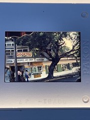 Lot Of 36 November 1981 Florida Trip Amateur 35mm Color Slides
