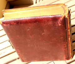 Antique Photo Album 63 Sepia Portrait Photos Women Family Rabin France 1888