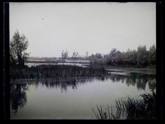 France Landscape Mare 1900 Photo Negative Glass Plate Vintage VR18L9N10