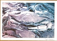 M.E. WARREN, COLOR PHOTOGRAPHIC PRINT BLUE CRAB, SIGNED, FRAMED, MATTED 10X8.5