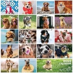 Ospelelf 2026-2027 Wall Calendar 12″X12″, 18 Months Hanging Calender, Spiral …
