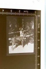 great old negative – girl with black dog