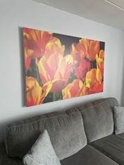 Large Painting Tulip, digital composition made on matte canvas 63×38”