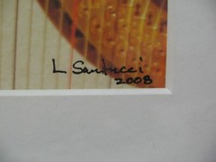 ART PHOTOGRAPHY Harp 11×14 Color Photo by Larry Santucci COA