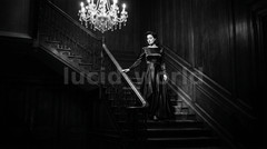 Woman Gown Staircase Vintage Film Noir Digital Print 1940s Retro Cinema 2 Pack