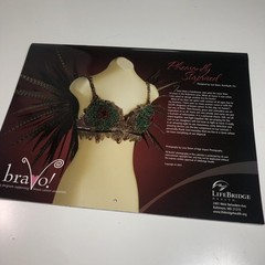 Lifebridge BRAVO 2008 Calender Art Bra Breast Cancer Awareness Avant Garde