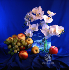 New «White Orchid» 24″ x 24″ Framed Photo Art Living Room