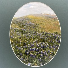 Matted Landscape Photo Print 11 X 14 Wall Art Gallery Decor