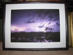 Brian Call «Lightning Reflections, Everglades» Framed Photograph 17″x25″ 1/100