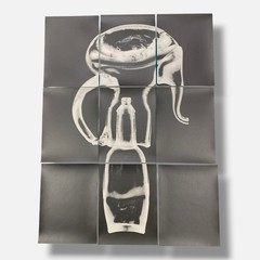 Sylvie Bussières «Sèrie Inutiles de Cristal» Foto No.1 Photogram Mural Wall Art