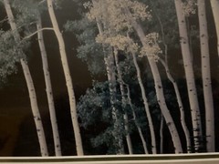 THOMAS D MANGELSEN Original Photograph