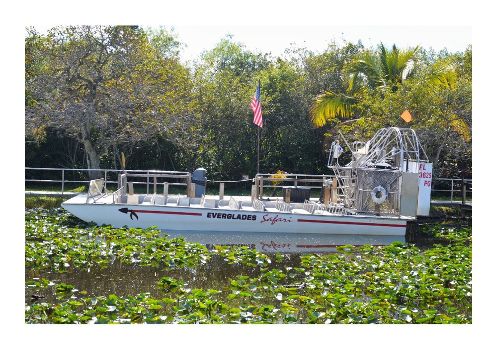Small Airboat in the Everglades, High Resolution Image, Many Formats, TV Art