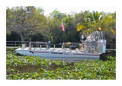 Small Airboat in the Everglades, High Resolution Image, Many Formats, TV Art