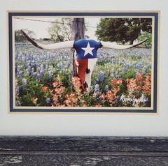 Vintage Richard Korczynski Texas Flag & Bluebonnet Original Photo Collage