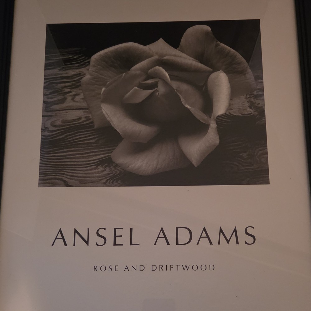 Ansel Adams Rose & Driftwood Framed Black & White Landscape Photograph Art