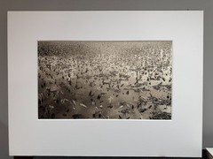 Dick Arentz, Taro, Hanalei, Hawaii, 1987, Palladium / Platinum Print