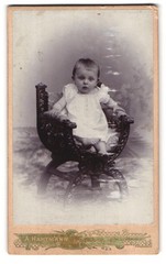 Photograph A. Hartmann, Gross-Schönau i. S., portrait cute toddler in w