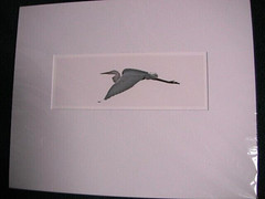 GREAT EGRET JOHN OLSEN PHOTOGRAPHY 20X16 MAT ART HERON BIRD SIGNED BACK CAPE COD