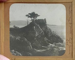 Gilbert? Hassell / Northern California Magic Lanterns Agricultural Big Trees