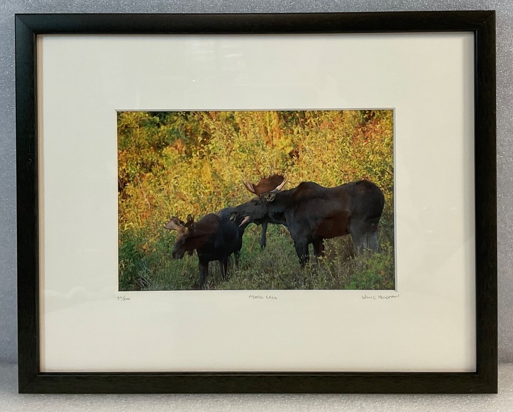 Moose Call Photo Signed Framed & Numbered 30/500 Willie Holdman FoundArtShop