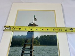 Original Signed Photograph Robin Marshall Waterfowl Osprey And Nest 11×14’’