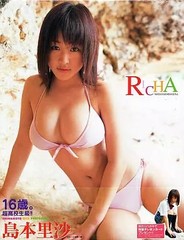 Risa Shimamoto Photo Book Female Idol Riccha Japan Ships from Japan
